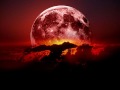 Burning Moonlight