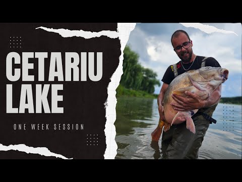 Cetariu lake  Carpfishing