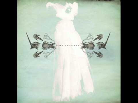 Delicate Cutters - Picture Of Health