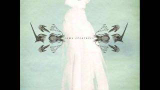 Delicate Cutters - Picture Of Health