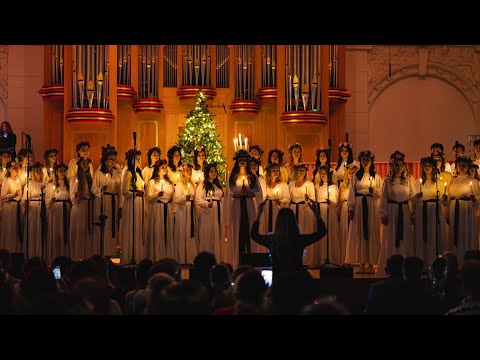 Full Concert - Tommy Nilsson at Lucia 2025 with The LondonSwedes Choir