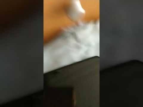 Doogee N20 doesn't charge, help me