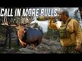 Advanced Elk Calling Tactics! (The things we never shared)