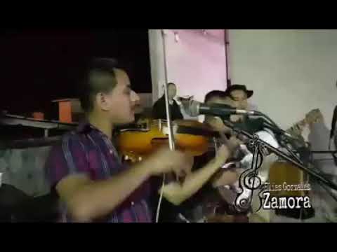 El cascabel trio halcón en vuel