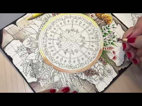 🔴 Live - Floresta Encantada - Bússola - Parte 5