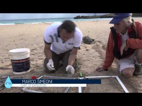 ODYSSEY 2015 - Easter Island : Scientific stop