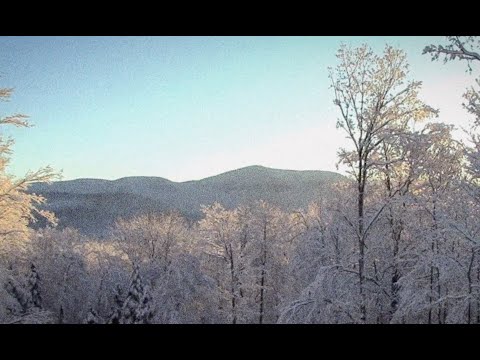 Rodrigo Leão, Coro & Orquestra Gulbenkian - Inverno Triste (O Retiro - Live visuals)