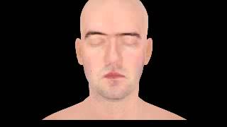 Format Test (MPEG-1, YUV420)
