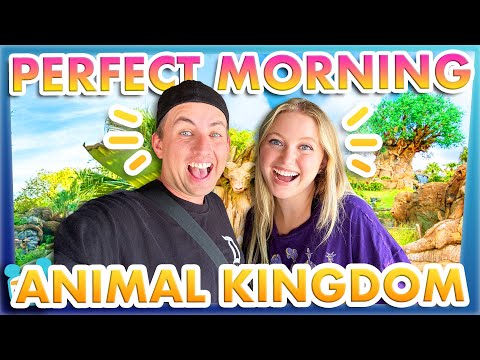 The SECRET to the Best Morning EVER in Disney's Animal Kingdom