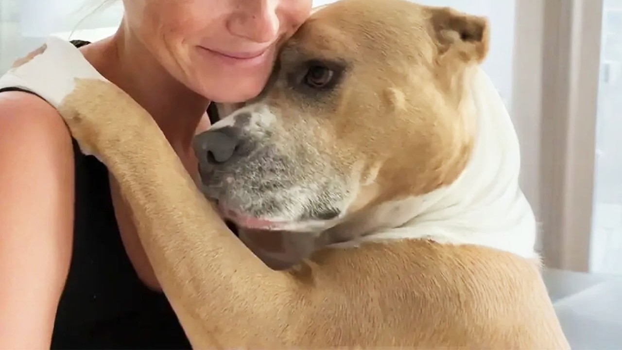 This Dog Doesn’t Bark — She Hugs Everyone She Meets