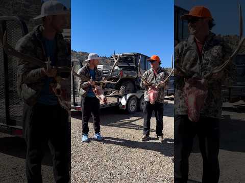 Blessed w/ 2 CO  2nd season bulls, but still have one to go! #godisgood #jesuslovesyou #elkhunt