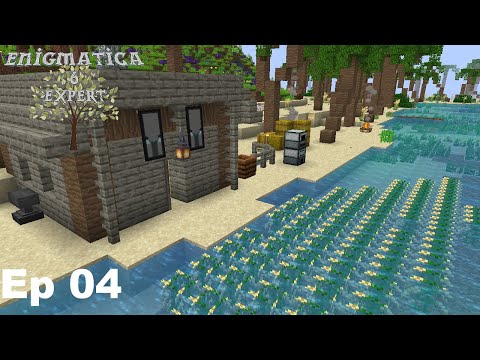 Enigmatica 6 Expert Mode - Ep 04 Induction Smelter and exploring