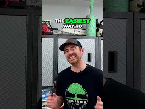 Upgrade Your Headlight Bulbs Projector vs Reflector Style Explained