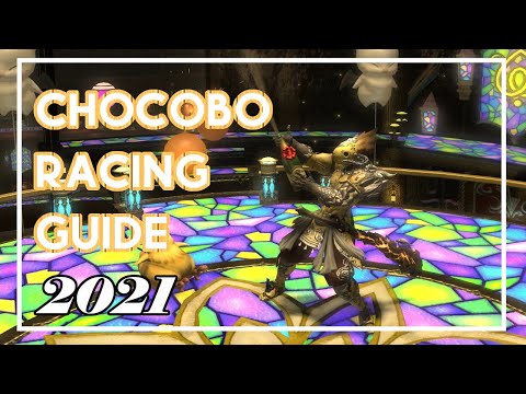 Chocobo Racing Guide for FFXIV: The Basics