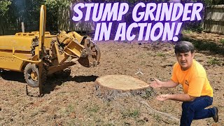 Stump Grinder Action!