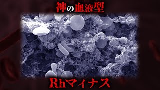 どこから来たのかわからない謎の血液型「Rhマイナス」の正体がヤバすぎる...。【 都市伝説 地球外生命体 生物学 】