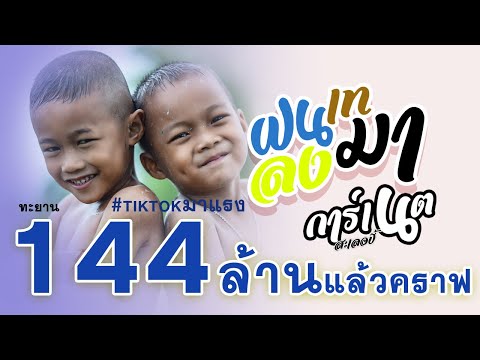 download lagu mp3 mp4 เพลง ผ, download lagu เพลง ผ gratis, unduh video klip เพลง ผ
