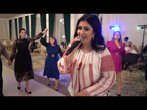 Andreea Andrei - Colaj hore si sarbe 2022