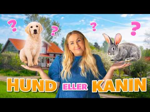 VI BEHÖVER ALLA TIPS! | VLOGG #648