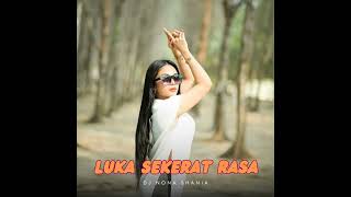 Download lagu Luka Sekerat Rasa mp3