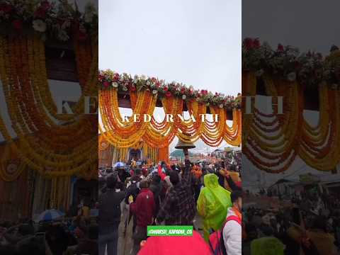 kedarnath yatra 2024|kedarnath temple opening coming soon kedarnath status#youtubeshorts #kedarnath