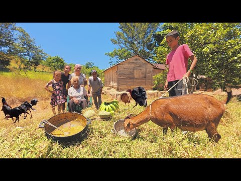 MIRA 😀La CASA de  CAMPO  CON MÁS de 100 AÑOS. ahi VIVE DOÑA LOLA  SOLA con sus ANIMALES😁