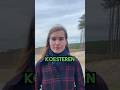 ? Overheid kapt tienduizenden bomen en noemt het “natuurherstel”.