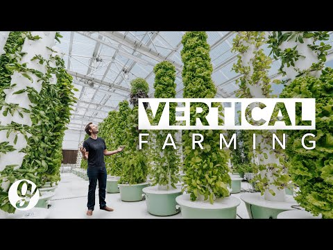 A Garden Without Soil - the Future of Growing Food