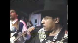 Lonnie Brooks live 1997