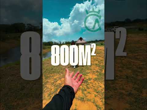 Campo Alegre 🌻 Arjona Bolivar