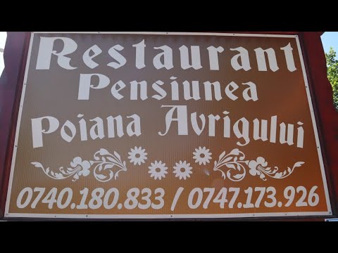 Spot Pensiunea Poiana Avrigului