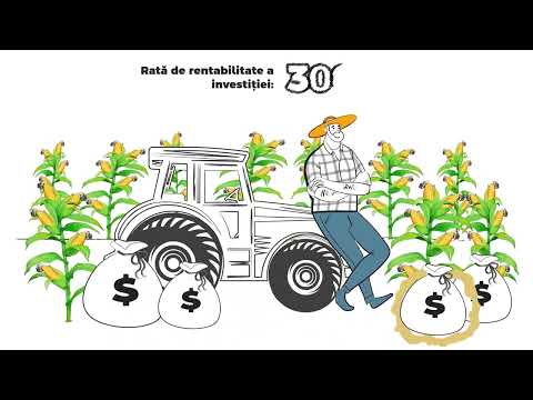 Cultura de porumb - tehnologia de biostimulare și nutriție foliară