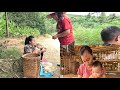 Enjoy Sweet Papaya At The Farm Grow More Chicks Ly Vy Ca