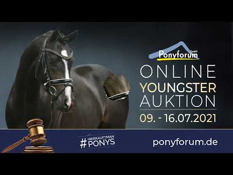 NOBEL'S ORNELLA MUTI Stute * 2018 v. Nobel Nagano NRW / Da Vinci R