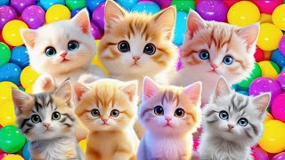 Download lagu MEOW MEOW KITTENS | Children's Songs | Popular Indonesian Children's Songs The Cute Cat Meow mp3 Download lagu MEOW MEOW KITTENS | Children's Songs | Popular Indonesian Children's Songs The Cute Cat Meow mp3