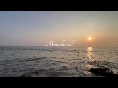 Beachday #sunset #beach #tea 