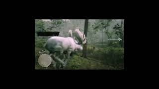 RDR2 - The Time The Legendary Moose Bagged Me.  #shorts