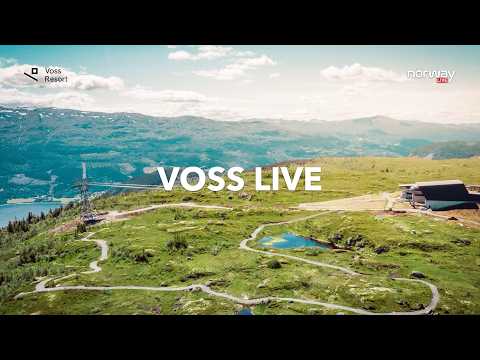 VOSS LIVE