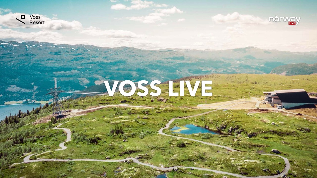 VOSS LIVE