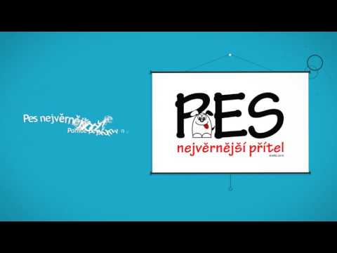 Za originální tričko příspěvek na psí charitu