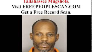 Tallahassee Mugshots