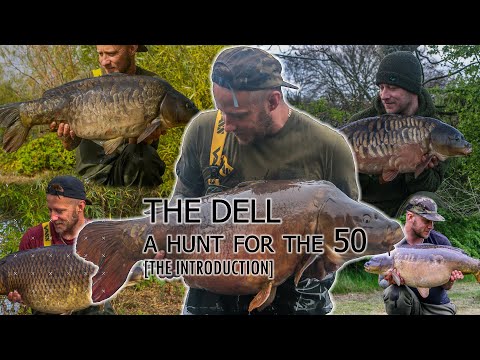 THE DELL - A HUNT FOR A 50 - THE INTRODUCTION