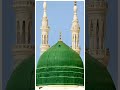 Jisne Madine Jaana Karlo Tayyariya Status Madina Status Eid E Milad Status Shorts