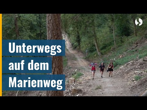 Der Weg ist das Ziel - Pilgern durch den Spessart