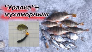 Ловля на мухомормыш