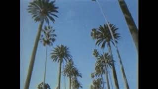 Kombucha Music Video