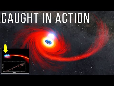 NASA Gets Unusually Close Glimpse of Black Hole Snacking on Star