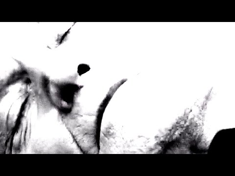 First Doctor's Regeneration (David Bradley and New Effects)