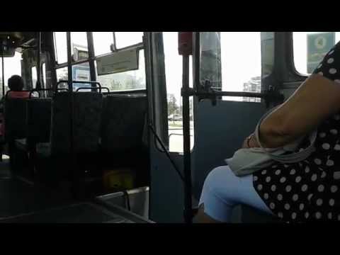 Budapest Bus - Ikarus 260.46 [BPO-670] @103