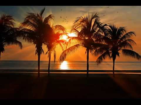 Christos Fourkis & Roni Iron Ft. Charitini - I need Your love (Secret Dream Edit)